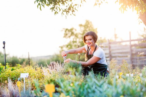 A woman in a gardening apron and casual clothing is smiling while tending to a garden bed filled with various plants and flowers. She is using her hands to carefully prune or arrange the greenery, with a background of a well-maintained, landscaped outdoor space in Wanstead. The garden features a lush lawn in the foreground, bordered by flower beds containing both flowering plants and foliage in shades of green, purple, and yellow. A wooden fence partially surrounds the garden, with some trees and a soft sky visible in the distance, suggesting a sunny day with natural light highlighting the textures of the plants and soil. This scene reflects outdoor garden maintenance and horticultural care, which local gardening services like Hedge Trimming Wanstead provide to keep outdoor spaces neat and thriving in the Wanstead area.