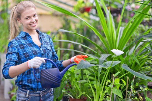 Expert landscaper trimming a manicured hedge