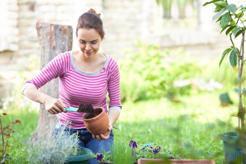 Sustainable garden design with native plants in Wanstead
