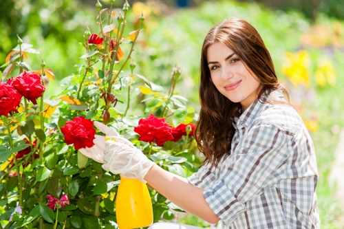 Essential garden maintenance tools and equipment