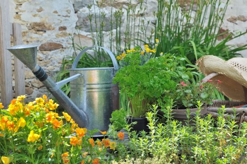 Seasonal garden care in Wanstead during autumn