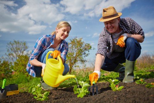 In the image, two individuals are tending to a garden in an outdoor space, with a clear blue sky and a few scattered clouds overhead. The younger woman on the left, with blonde hair, is wearing a plaid shirt and yellow gardening gloves, and she is holding a yellow watering can, pouring water onto small, freshly planted green seedlings that are evenly spaced in dark, well-tilled soil. To her right, an older man dressed in a straw hat, checkered shirt, and green rubber boots is also engaged in gardening, using a small hand tool to carefully tend the plants. The garden features a neatly arranged bed with a variety of young plants, bordered by a grassy area in the background and some distant trees, suggesting a typical residential or community outdoor space. The consistent natural lighting indicates a bright, sunny day, ideal for outdoor garden maintenance, and the scene reflects professional gardening and landscaping practices, as would be provided by services like those at Hedge Trimming Wanstead, ensuring healthy, well-maintained garden growth in the Wanstead area.