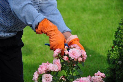 Healthy soil preparation for Wanstead gardens
