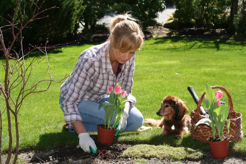 Manager overseeing a risk-based audit of hedge trimming contractors