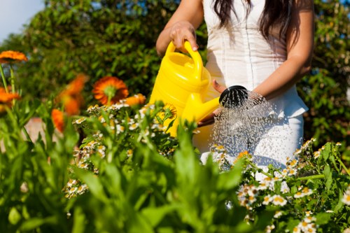 A person standing in a well-maintained garden, seen from the waist up, watering flowering plants with a yellow watering can. The garden features a variety of lush green shrubs and vibrant orange and white flowers, with a neatly edged lawn in the foreground. In the background, there are taller trees and bushes, providing a natural backdrop under bright daylight, suggesting a spring or summer day. The individual is wearing a light-colored sleeveless top and appears to be engaged in gardening activities typical of outdoor maintenance and hedge trimming services, with a focus on healthy, blooming plants and tidy landscaping. The scene reflects a carefully cared-for outdoor space that highlights gardening and horticultural work, creating a tranquil and vibrant garden environment, ideal for professional gardening services offered by companies like Hedge Trimming Wanstead.