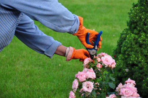 Insurance documents and safety certificates for a gardening company