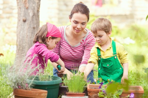 Eco-friendly tree removal practices