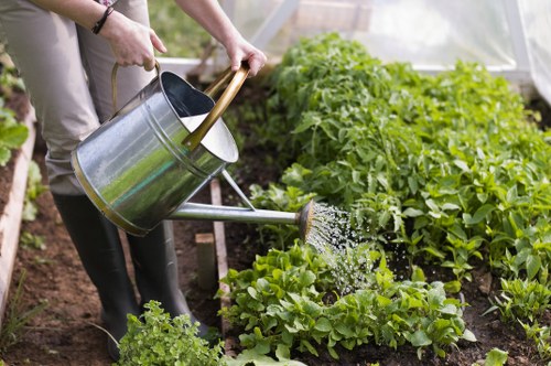 Cost-effective garden clearance services offered in Wanstead.