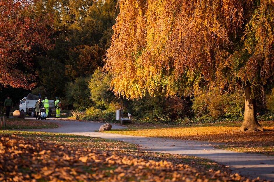 A peaceful park scene during autumn featuring a large deciduous tree with vibrant orange and red foliage, its leaves scattered on the ground and along the paved pathway. The pathway curves gently thro